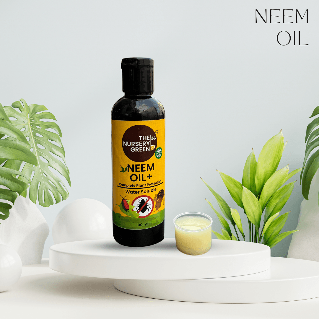 Neem oil for plants guide image